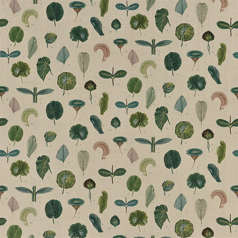 Telas A Leaf Study  de la marca John Derian de estilo Botánico