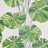 Papel Pintado con estilo Botánico modelo BRAHMI de la marca Designers Guild