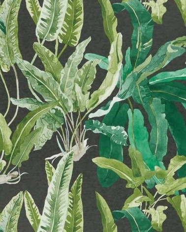 Papel Pintado BENMORE de Nina Campbell estilo Botánico
