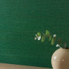 Papel Pintado KANOKO GRASSCLOTH de Osborne & Little estilo Liso
