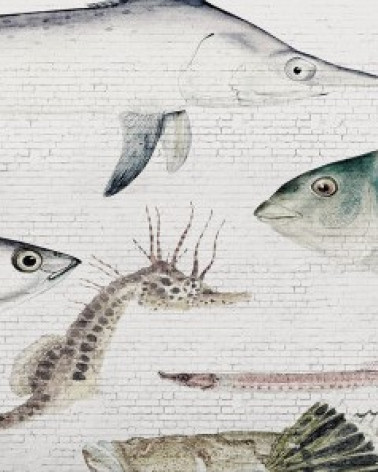 Murales Brick Wall & Fish de Les Dominotiers estilo Ladrillo