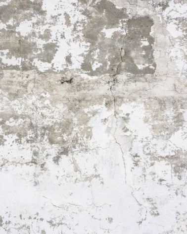 Murales Grey Patina de Les Dominotiers estilo Texturas