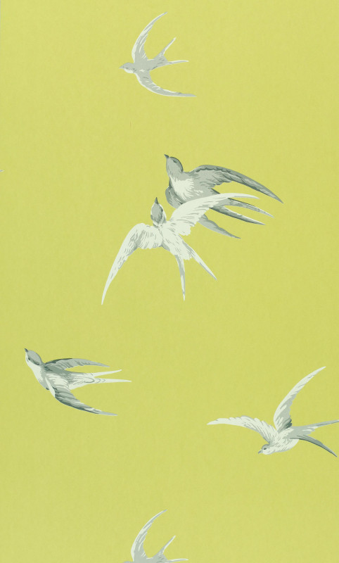 Papel Pintado SWALLOWS de Sanderson estilo Pájaros