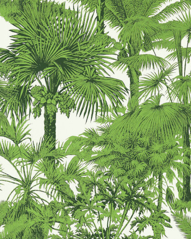 Papel Pintado PALM BOTANICAL de Thibaut estilo Tropical