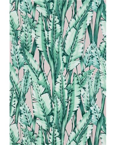 Papel Pintado TIGER LEAF de Osborne & Little estilo Botánico