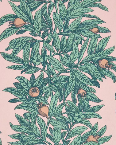 Papel Pintado MEDLAR de Osborne & Little estilo Botánico