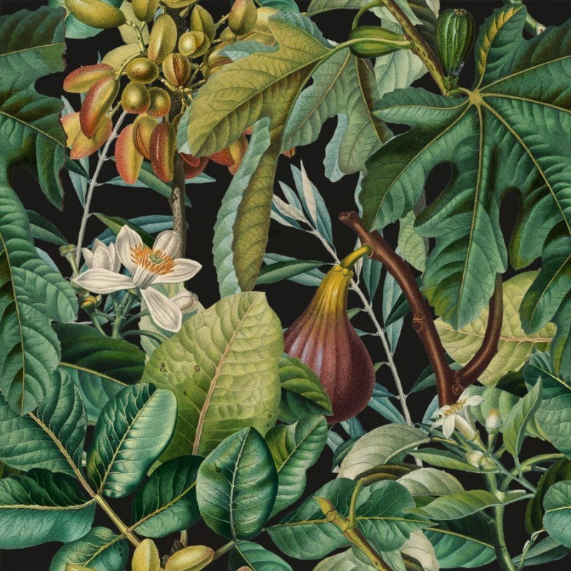 Mural con estilo Tropical modelo Figs And Dates de la marca Mind the Gap