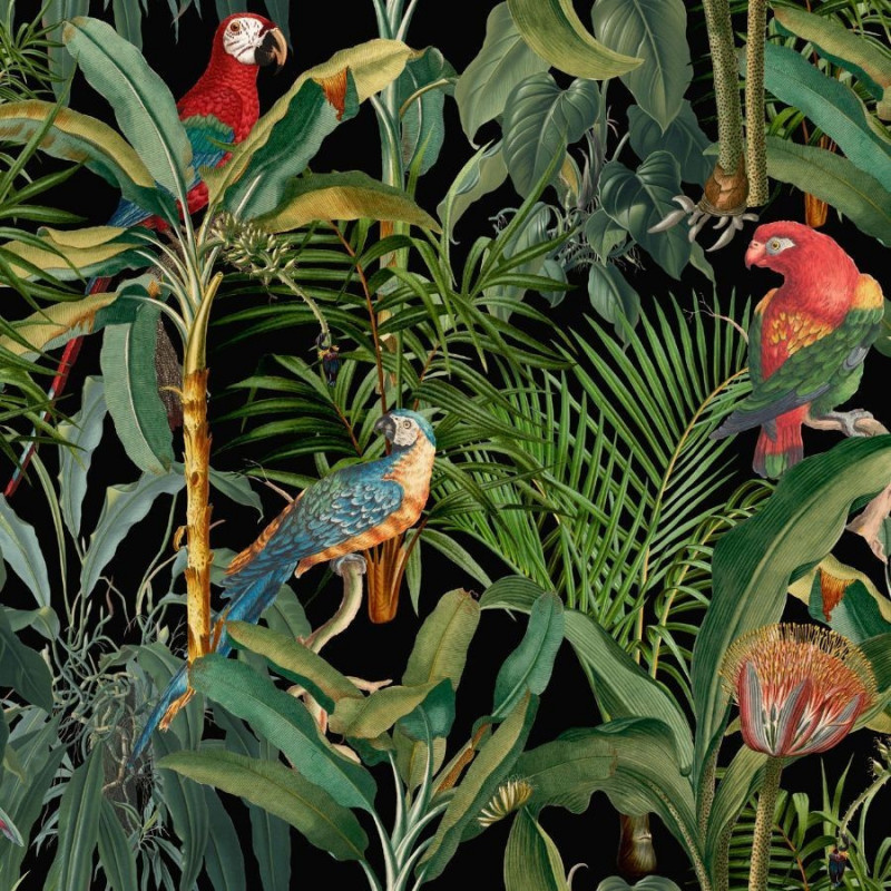 Mural con estilo Tropical modelo Parrots Of Brasil de la marca Mind the Gap