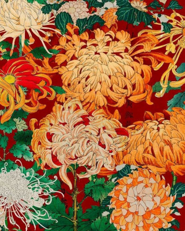 Mural con estilo Flores modelo Chrysanthemums de la marca Mind the Gap