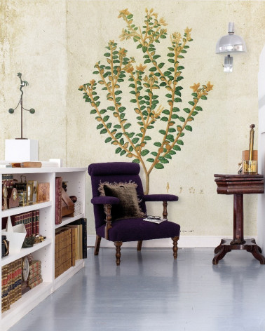 Mural con estilo Botánico modelo Botanical drawing de la marca Coordonné