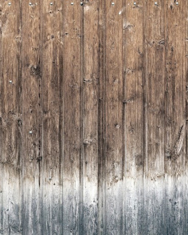 Mural con estilo Texturas modelo Wooden wall de la marca Coordonné