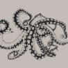 Murales Octopus X-Ray de estilo Animales y Marinero de la marca Coordonné
