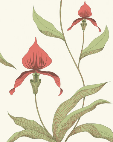 Papel Pintado con estilo Botánico modelo Orchid de la marca Cole & Son