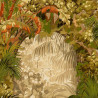 Papel Pintado con estilo Botánico modelo Hispanis Sevilla de la marca Cole & Son