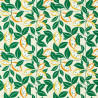 Papel Pintado ST CLEMENS de estilo Botánico de la marca Scion