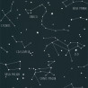 Papel Pintado Our Planet Constellations de Caselio
