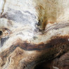 Murales Woods Panoramique Saule de estilo Texturas de la marca Casadeco