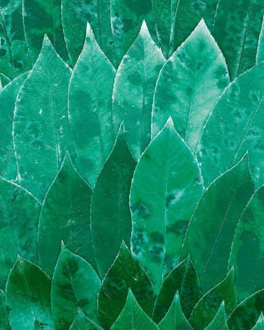 Murales Mana Inala de la marca Casamance de estilo Botánico