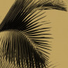 Panel Panoramique Honey Palm de la marca Caselio de estilo Tropical